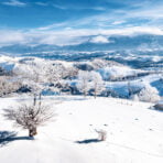Christmas,In,Romania,Traditional,Landscape,Covered,With,Snow