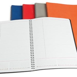 Agenda Siena