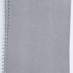 Riga DR6