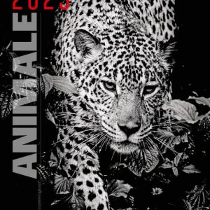 Calendar “Animale”