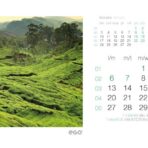 Green birou 2025.indd