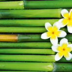 Green (1)