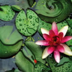 Green (10)