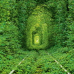 Green (8)